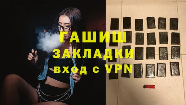 индика Белокуриха