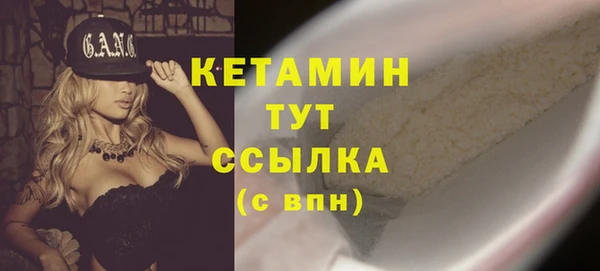 индика Белокуриха