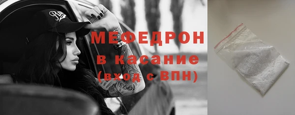 индика Белокуриха