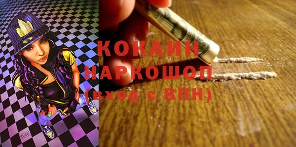 индика Белокуриха
