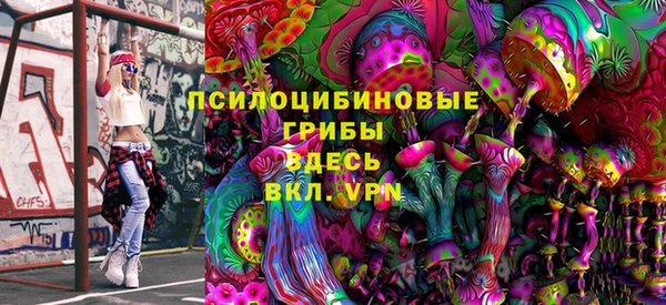 СК Беломорск