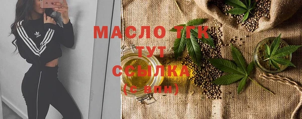 индика Белокуриха