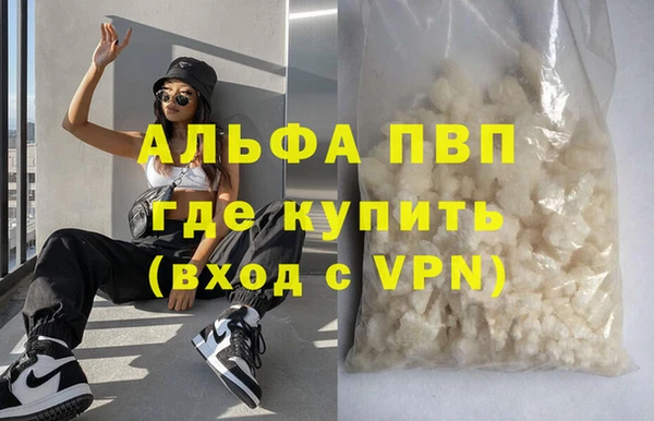 индика Белокуриха