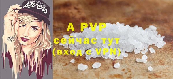 индика Белокуриха