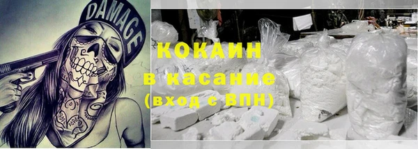 индика Белокуриха