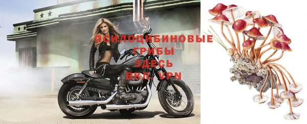 СК Беломорск
