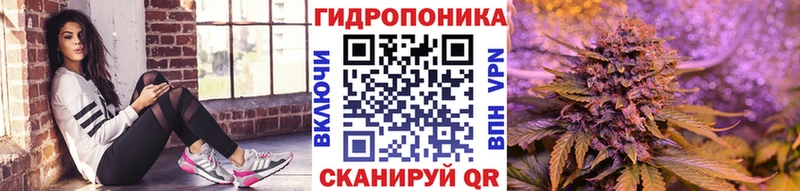 blacksprut как войти  Юрга  Бошки марихуана сатива  сколько стоит 